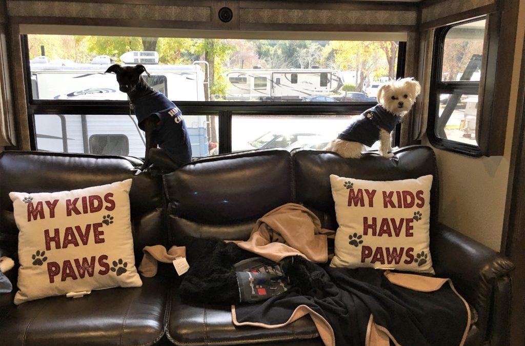 Rv life with Dogs