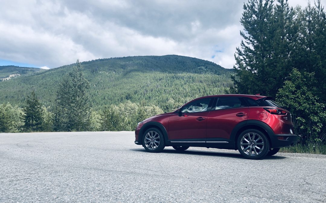 Back Seat Drivers and the 2019 Mazda CX-3